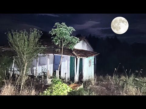 A CASA DA FEITICEIRA É UMA CASA AMALDIÇOADA