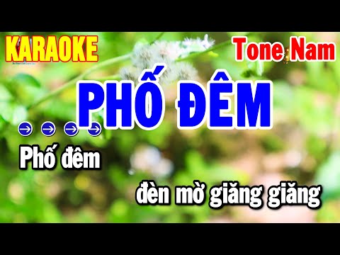 Karaoke Phố Đêm Tone Nam Nhạc Sống Beat Chuẩn Dễ Hát Nhất 2025 | Thanh Hải