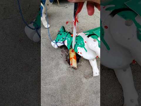 POTONG SAPI #64