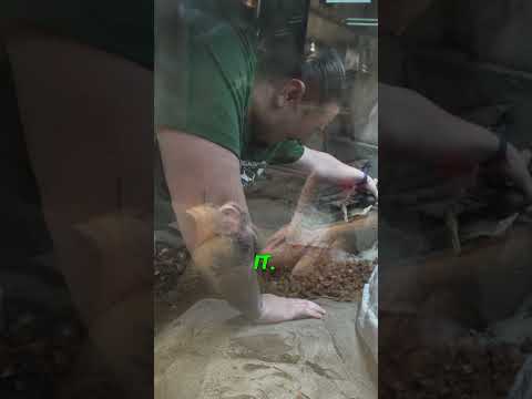 Mike Doesn't Do Crabs... 🦀 #sneakpeek #crabs #t Have you subscribed? Linktree_ https_//linktr.ee/brianbarczyk

Become A YouTube Member & Get Your Cu