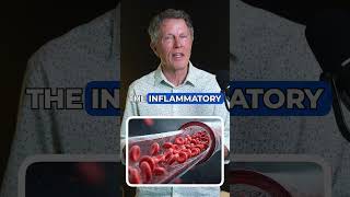 How Berberine Heals Arteries