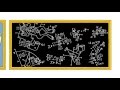 Cell Theory and Microscopy Concepts
