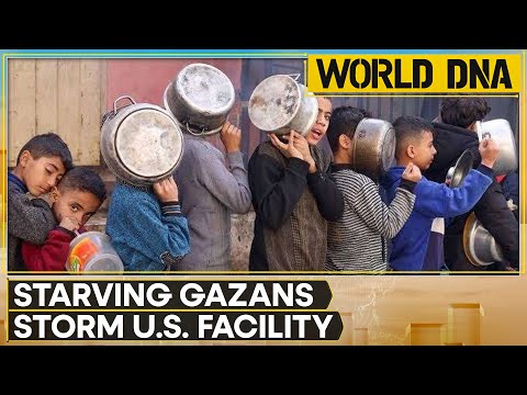 Israel-Gaza War: Deadly Break In At UN Warehouse As Aid Trickles Into Gaza | WION World DNA