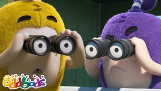 Just a Pair of Grasses! 🌿🌱 | Oddbods Full Episode | Funny Cartoons for Kids