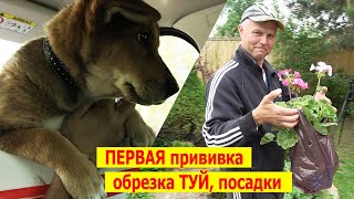 видео