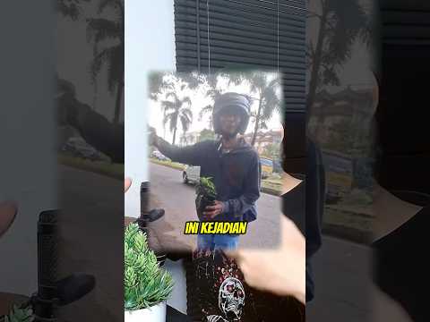 Kejadian Lucu Awal Tahun 2026 #Shorts