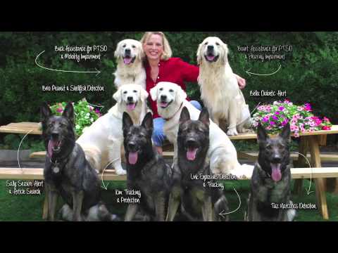 The Great Ones: Service & Protection Dogs of TDK