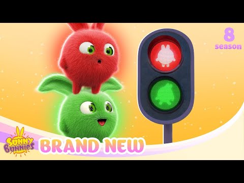SUNNY BUNNIES - Regole della Strada | EPISODIO NUOVO DI ZECCA | Stagione 8 | Cartoni animati