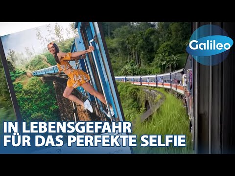 Insta-Hotspot Sri-Lanka-Zug: In Lebensgefahr für das perfekte Selfie