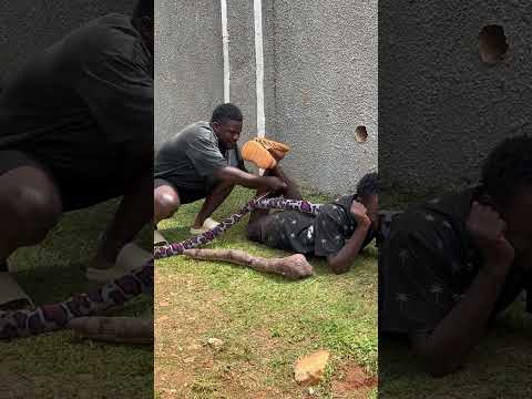 Snake prank🐍😱😭