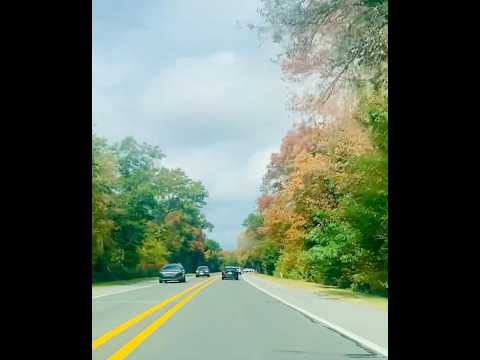 Listen To The Last Sentence 👍&🛎️