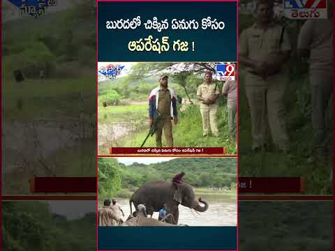 iSmart News : బురదలో చిక్కిన ఏనుగు కోసం ఆపరేషన్ గజ !  | Operation Gaja - TV9