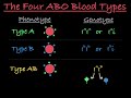 Blood Type Genetics and ABO Alleles