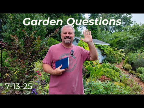 Great Garden Questions - Starting Seeds, Redbud Issues, Wood Chips & Watering Tips
