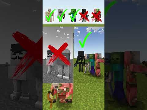 Anomal vs Minecraft