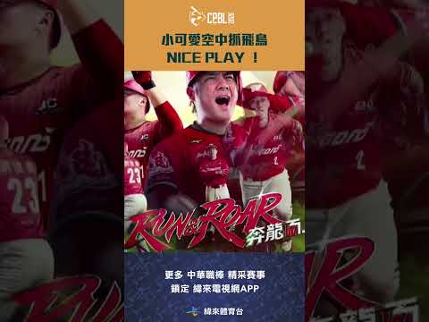#CPBL #江坤宇 空中抓飛鳥 NICE PLAY ！#中信兄弟 #味全龍 #中華職棒