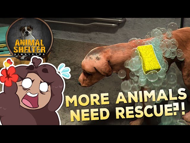 Even MORE Animals To Rescue?! ?? Animal Shelter Simulator Demo