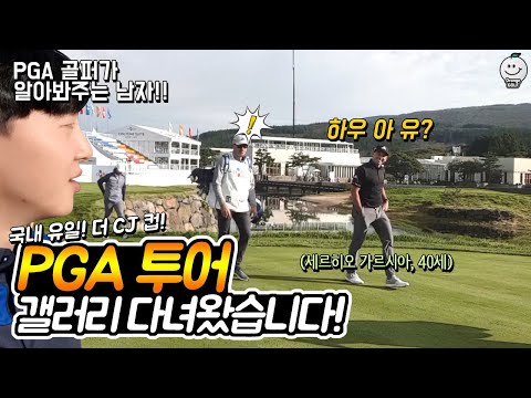 PGA 투어 갤러리 관전기! 국내 유일 PGA 투어 CJ 컵!
