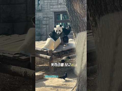 천재 멍얼