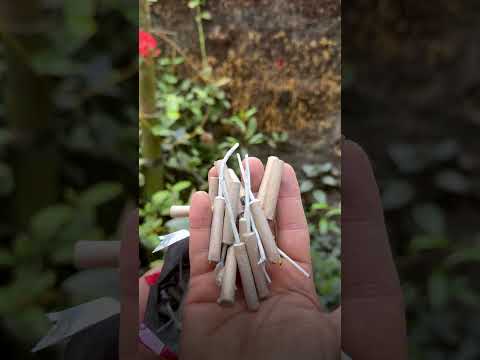 เดเดคเดฟเดจเต เดฎเตเดณเดเตเดจเตเดจเต เดชเดฑเดฏเตเดฎเต ?? VSA Bijili #padakkam,#vishu2026,#shorts