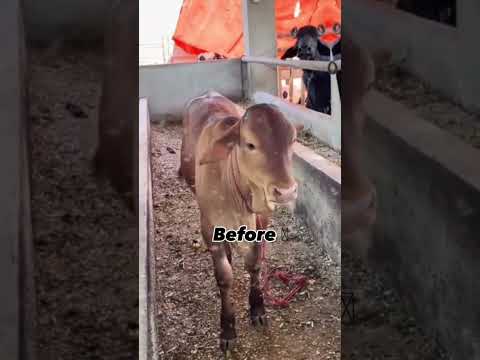 Before After | Subhan Allah ❤️