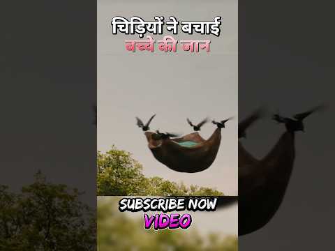 Birds saved the life of an innocent child from goons #shorts #viral #birds