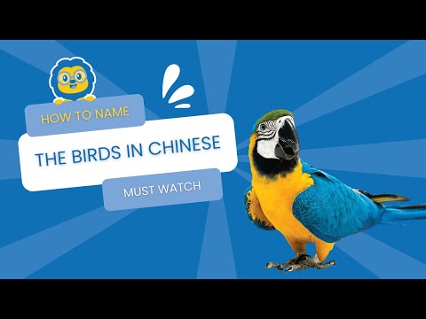 HOW TO - Name the Birds In Chinese