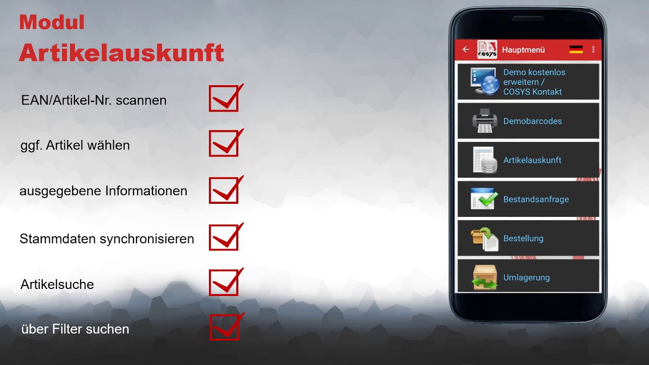 Mobile Artikel Abfrage am POS | COSYS POS Non Food Demo
