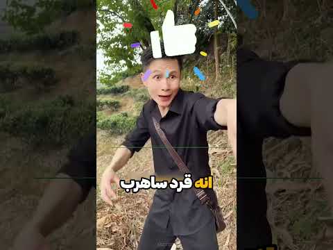 لالو ركض بخوف شديد عندما رأى قردًا أسود 🐒😱