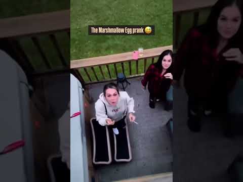Marshmallow Egg Prank😂 #marshmallow #prank #funny #funnymemes #memes #memesdaily #fyp #viralshort