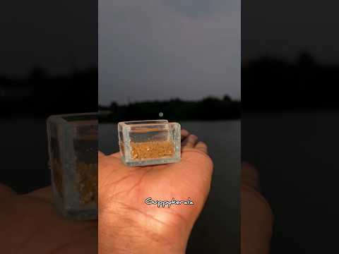 കുഞ്ഞൻ അക്വേറിയത്തിൽ വെള്ളംനിറച്ചാൽ പണിപാളുമോ #guppykerala #guppy #aquarium #shorts #nanotank