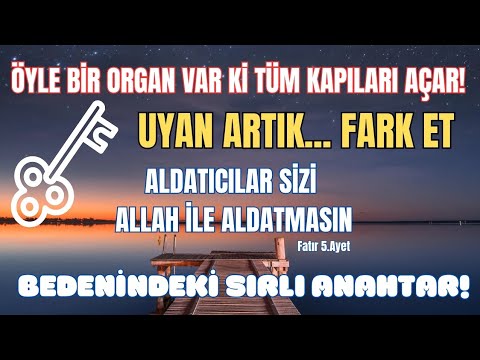 🔮 BEDENİNDE ÖYLE BİR ORGAN VAR Kİ TÜM KAPILARI AÇAR! 💫 BEDENİNDEKİ SIRLI ANAHTAR!