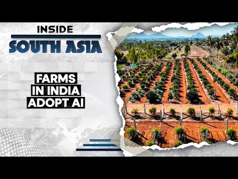 Artificial Intelligence In Agriculture: The India Growth Story | Inside South Asia | WION