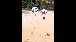 Short summary of the Super Bowl