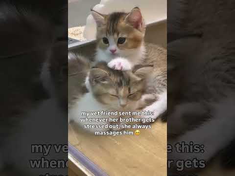Beautiful family moments is all you need on a Friday