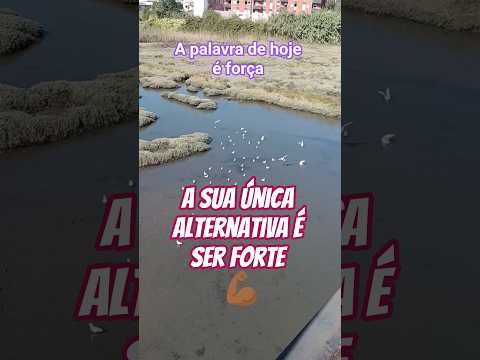 Renove suas forças #motivacional #reflexão #fe #deus #força #shortsviral #shorts