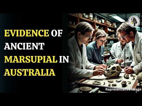Scientists Discover Ancient Marsupial in Australia | WION Podcast