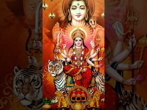 9rat ki 9din mae #shortsfeed