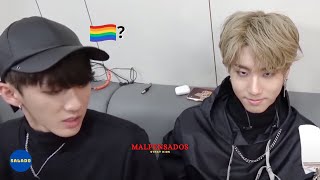¡Stray Kids no son malpensados!