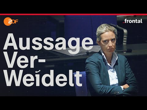 10 Jahre AfD: Die Gründer packen aus I Spurensuche I frontal