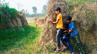 tiger attack man in the forest | tiger attack in jungle, royal bengal tiger attack