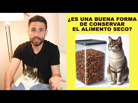 ¿Cómo debo conservar el alimento seco de mi gato?