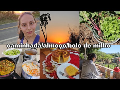 Rotina do dia/almoço/caminhada/limpeza/bolo de milho