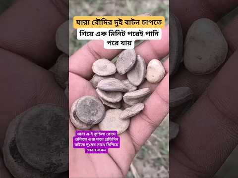 #plantsofindia #plants #shortvideo#gardenplants #garden การตอนมะละกอ โดยไม่ใช้ดิน ไม่ใช้ แกลบ.