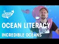 Understanding the Blue Economy and Marine Education