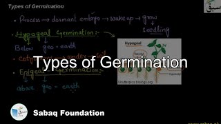 Types of Germination