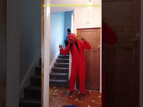 Marvelous Dancing Polish Cow funny cow dance Cow Song pumpkin cow farm Anaconda Snake cow milk