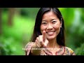 Conservation of Endangered Species