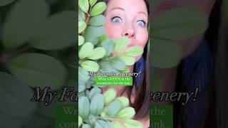 My favorite greenery! Comment Green in the comments for the link to purchase! #wreathsupplies