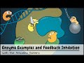 Enzyme Functions and Inhibitors